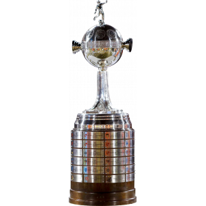 Copa Libertadores aleatorio