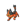 Torracat