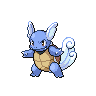 Wartortle